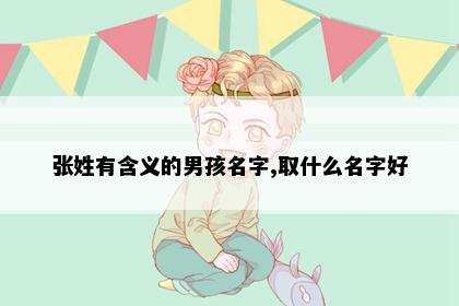张姓有含义的男孩名字,取什么名字好