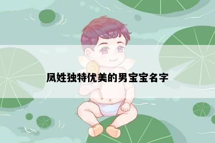 凤姓独特优美的男宝宝名字